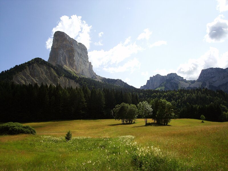 Mountain peak above a meadow