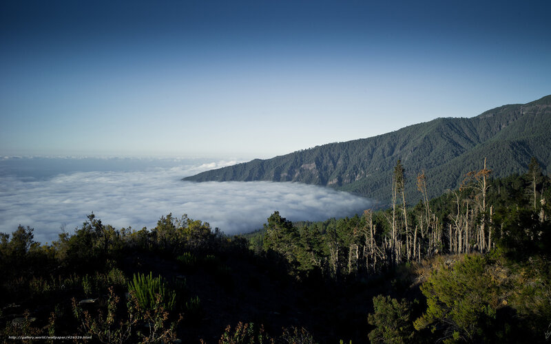 Mountain peak above clouds