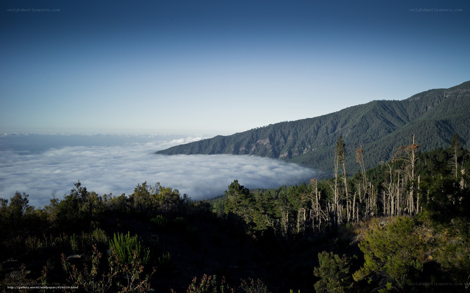 Mountain peak above clouds