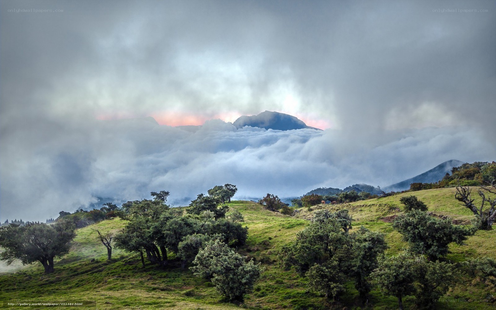 Mountain peak above clouds