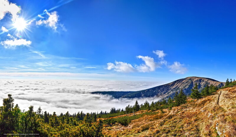 Mountain peak above clouds