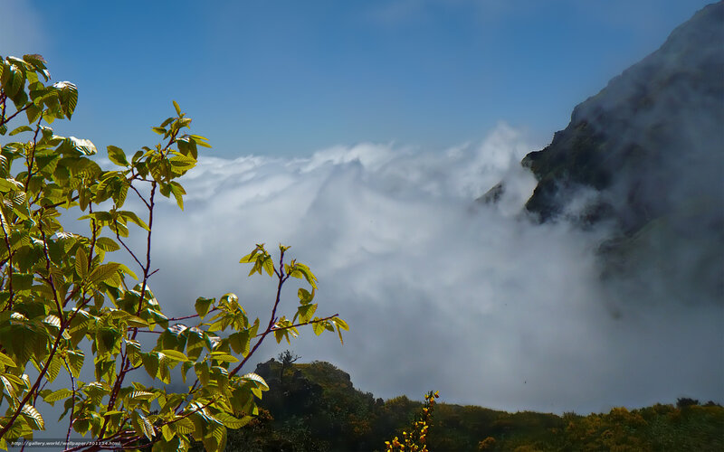 Mountain Peak Above Clouds — Blue, Serene, Afternoon, Photograph, Trees