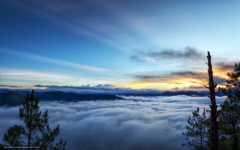 Mountain Peak Above Clouds — Blue, Serene, Sunrise, Photograph, Trees, Sky, Mountains