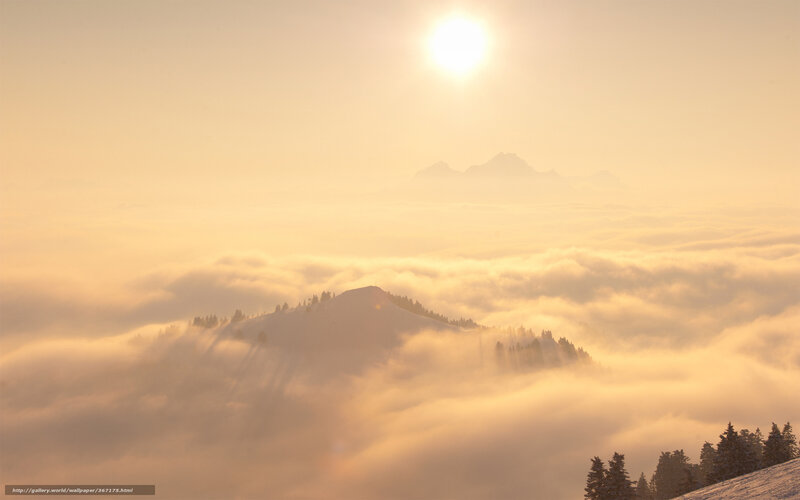 Mountain Peak Above Clouds — Gold, Serene