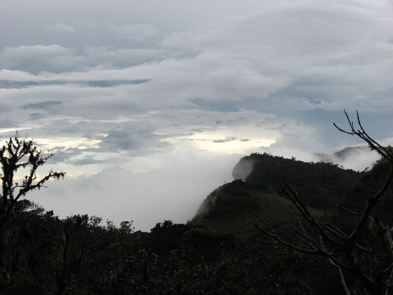 Mountain Peak Above Clouds — Gray