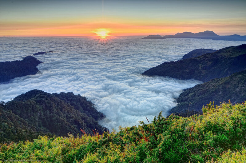 Mountain Peak Above Clouds — Green, Serene, Sunrise