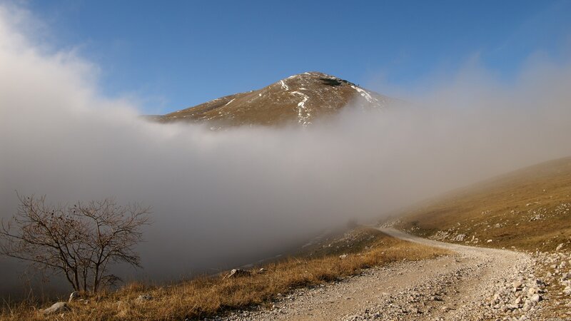 Mountain Peak Above Fog — Blue, Serene