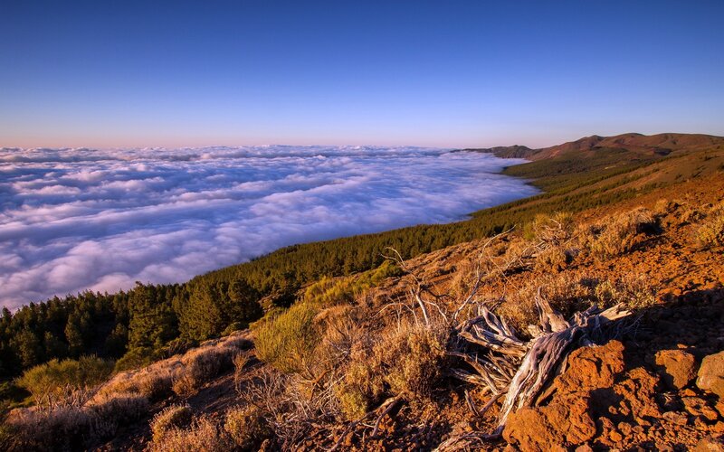 Mountain peak above sea of clouds