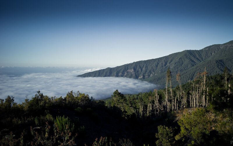 Mountain peak above sea of clouds