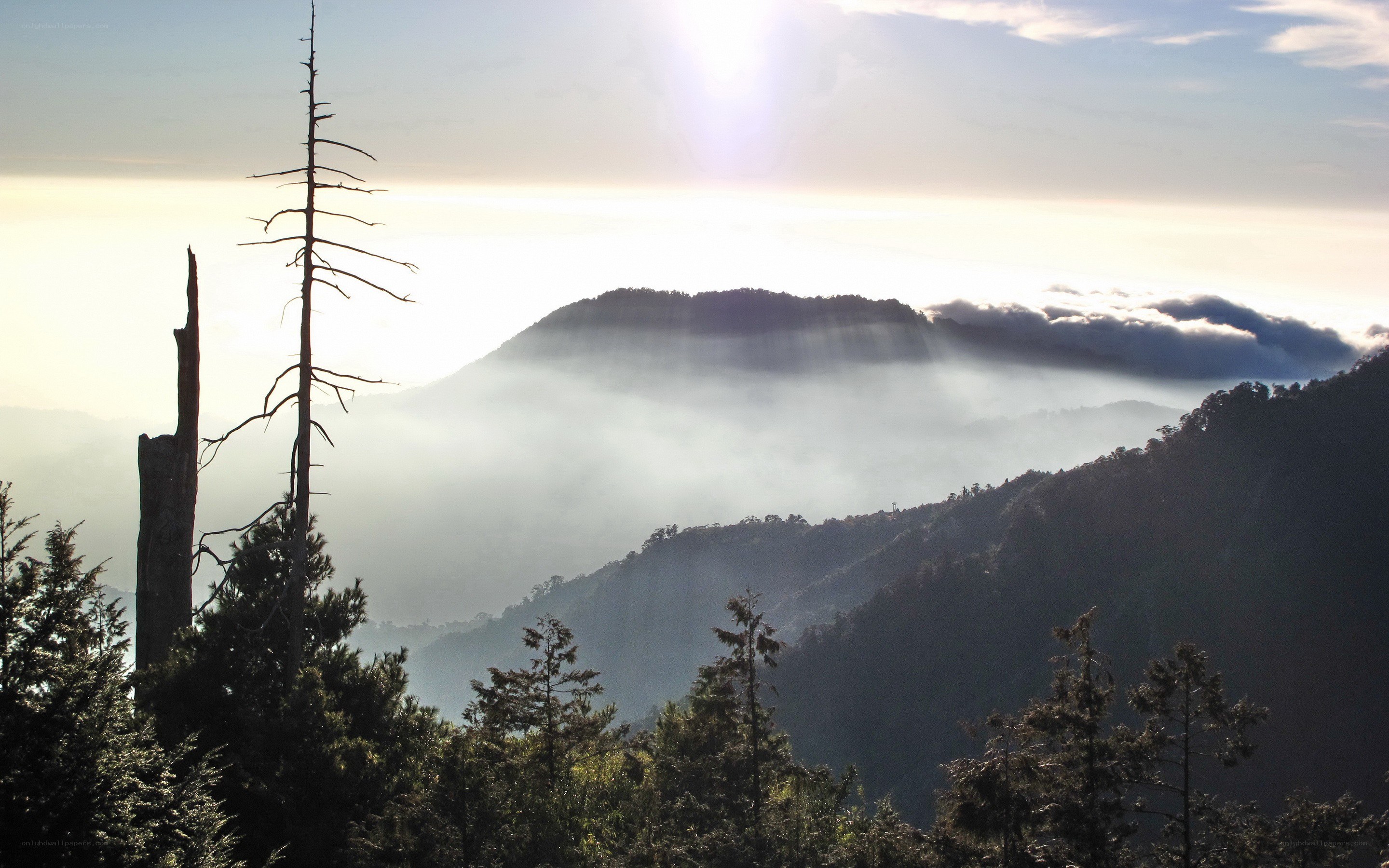 Mountain peak above the clouds