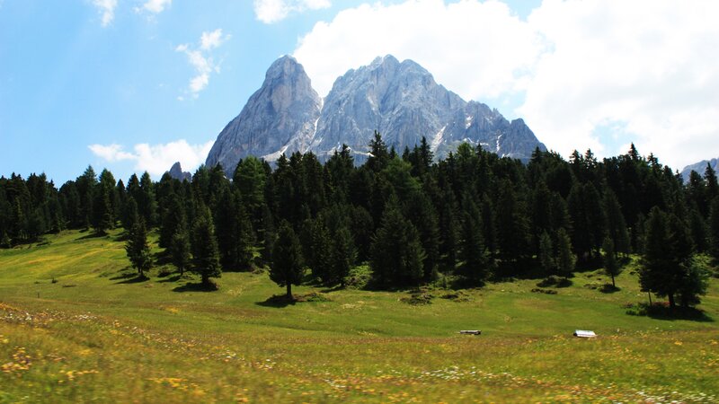 Mountain Peak and Forest — Green