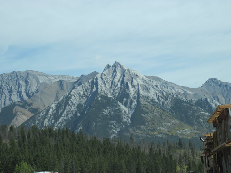 Mountain Peak and Forest