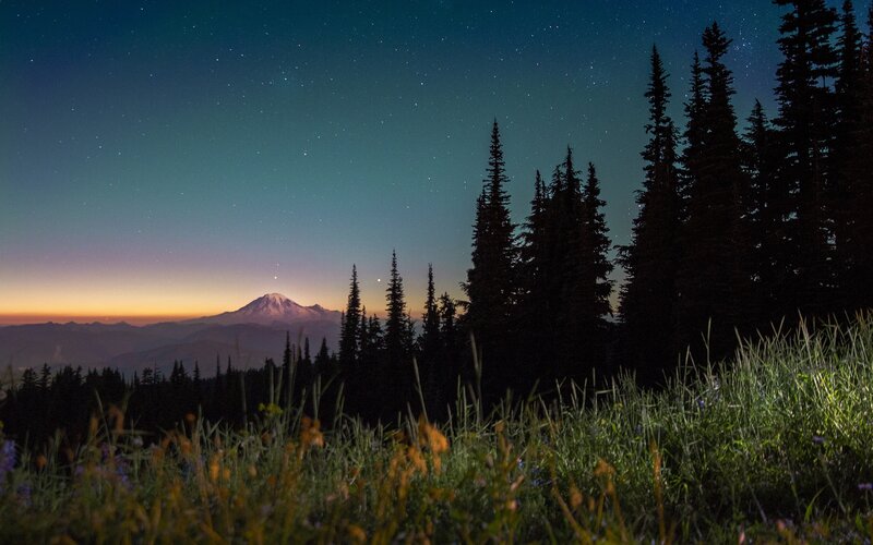 Mountain Peak at Night — Green