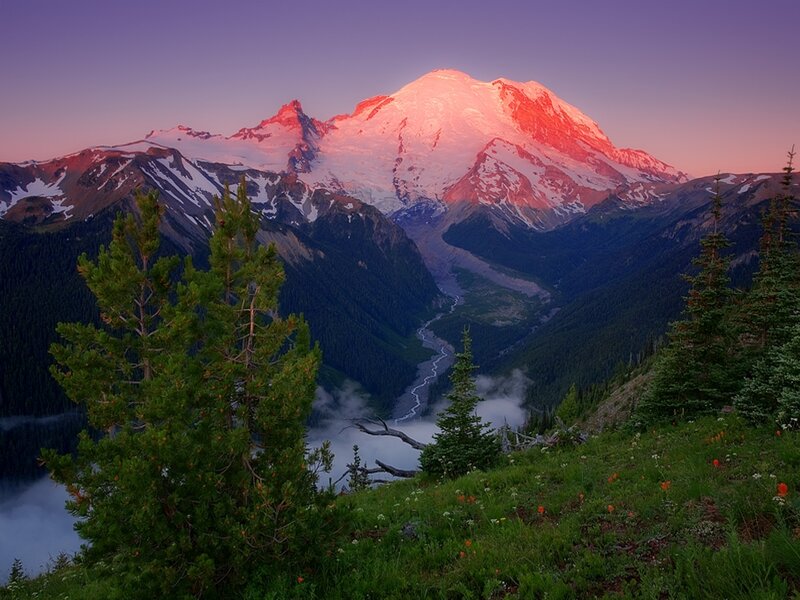 Mountain Peak at Sunrise — Purple