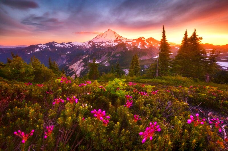 Mountain Peak at Sunset — Purple, Dramatic, Photograph, Flowers