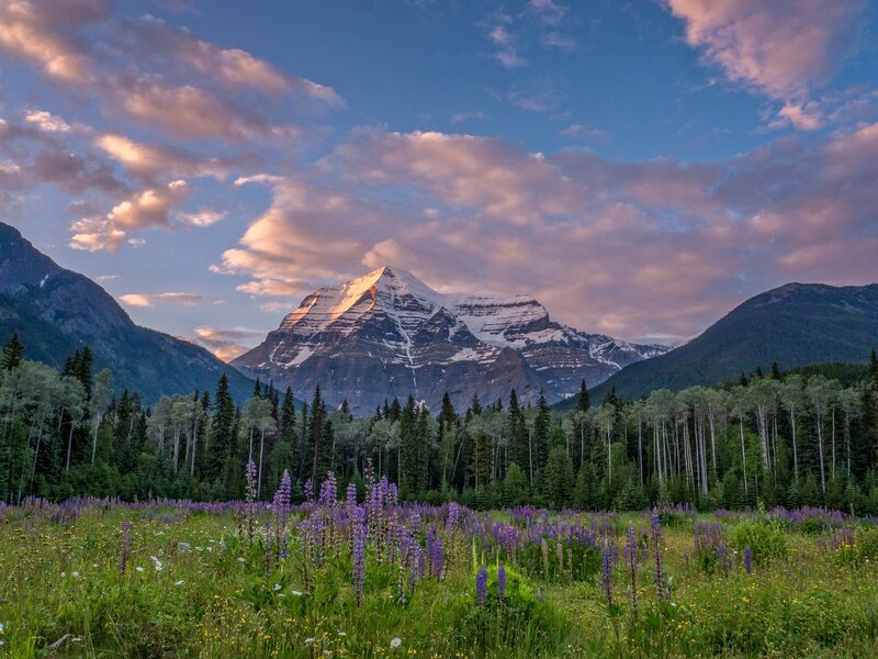Mountain Peak at Sunset — Purple, Serene, Photograph