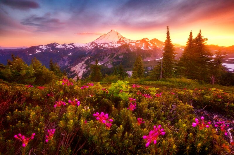 Mountain Peak at Sunset — Purple, Serene