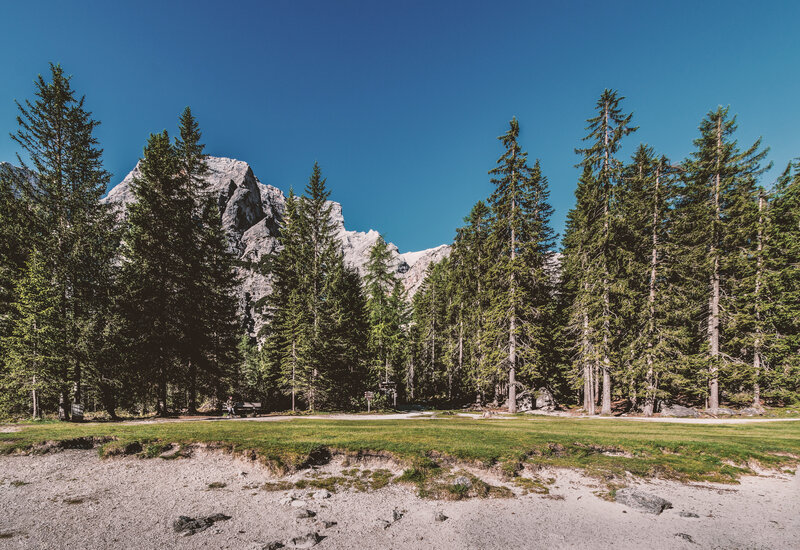 Mountain Peak Behind Forest
