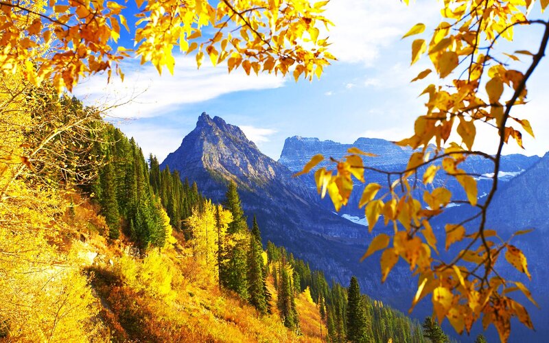Mountain Peak in Autumn — Yellow, Serene, Photograph, Trees, Mountains