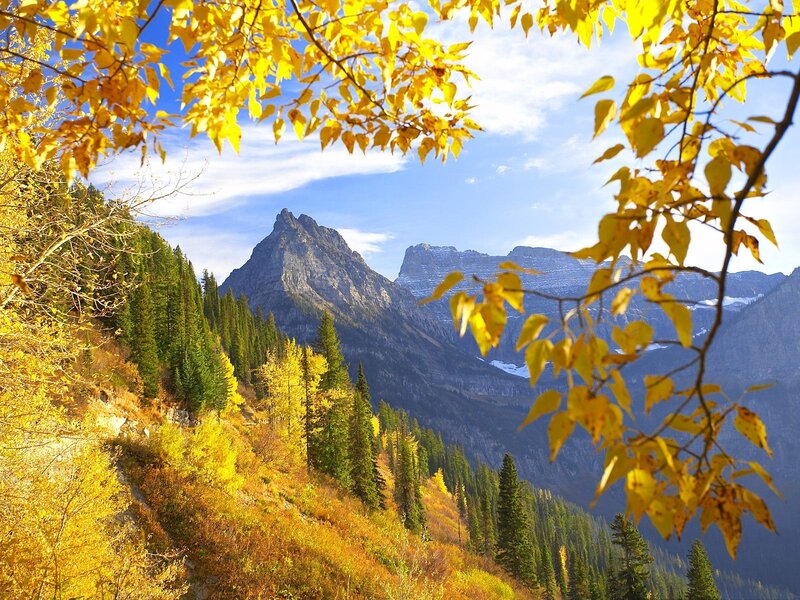 Mountain Peak in Autumn — Yellow, Serene