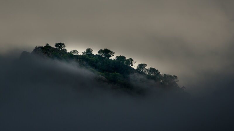 Mountain Peak in Fog — Gray