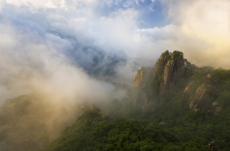 Mountain Peak in Fog — Green, Serene