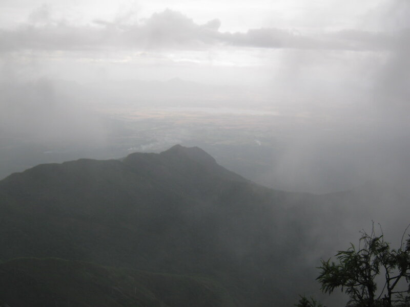 Mountain Peak in Fog — Green