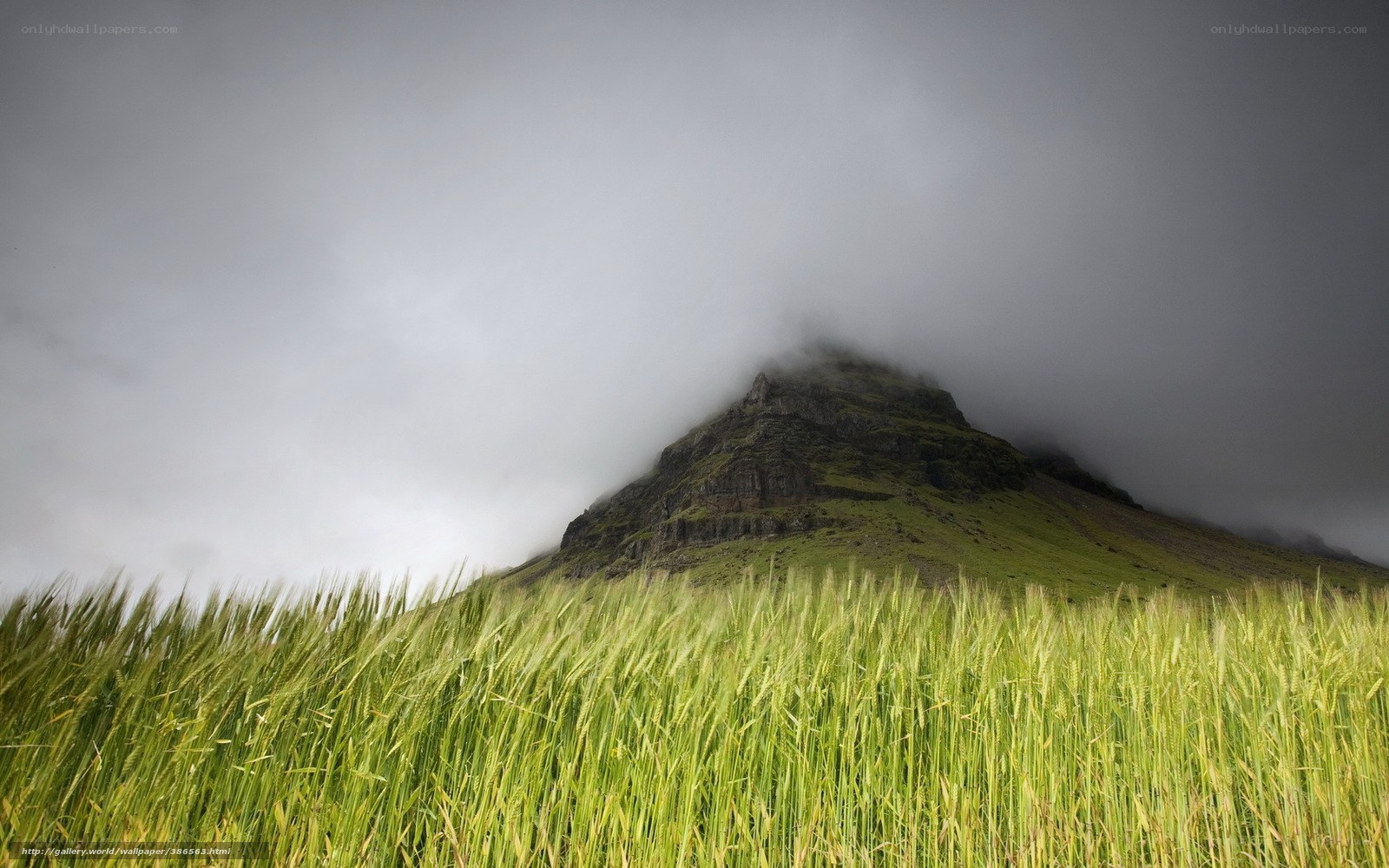 Mountain peak in fog