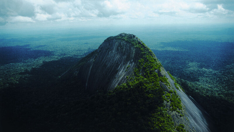 Mountain Peak in Forest