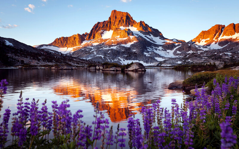 Mountain Peak Reflection — Purple, Serene