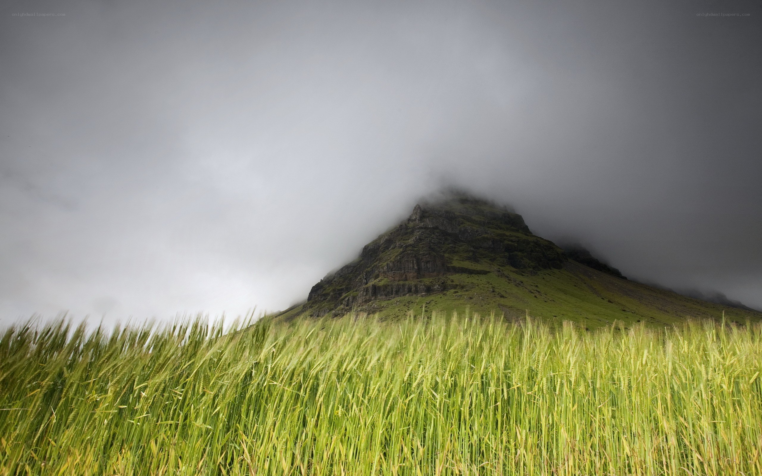 Mountain peak shrouded in fog