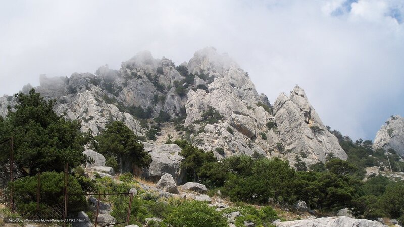 Mountain peak shrouded in mist