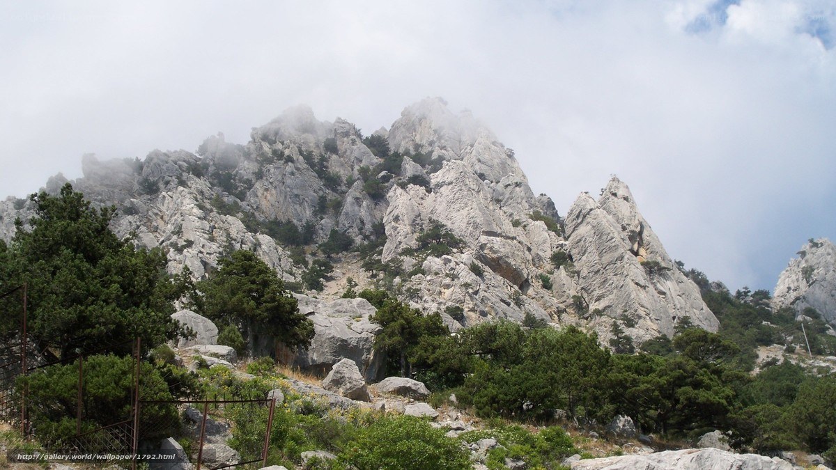 Mountain peak shrouded in mist