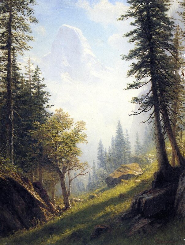 Mountain peak through forest