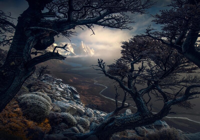 Mountain Peak Through Trees — Gray