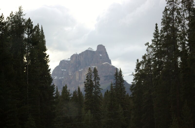 Mountain Peak Through Trees — Green, Overcast