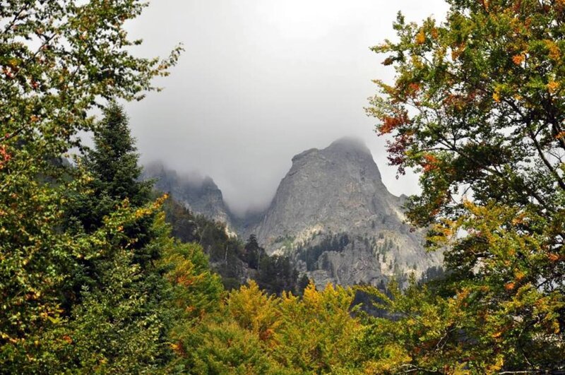 Mountain Peak Through Trees — Green, Serene, Autumn