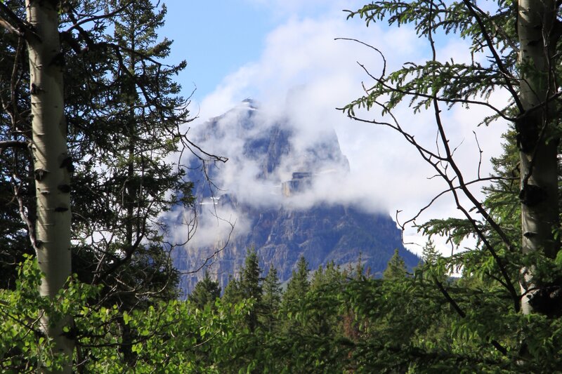 Mountain Peak Through Trees — Green