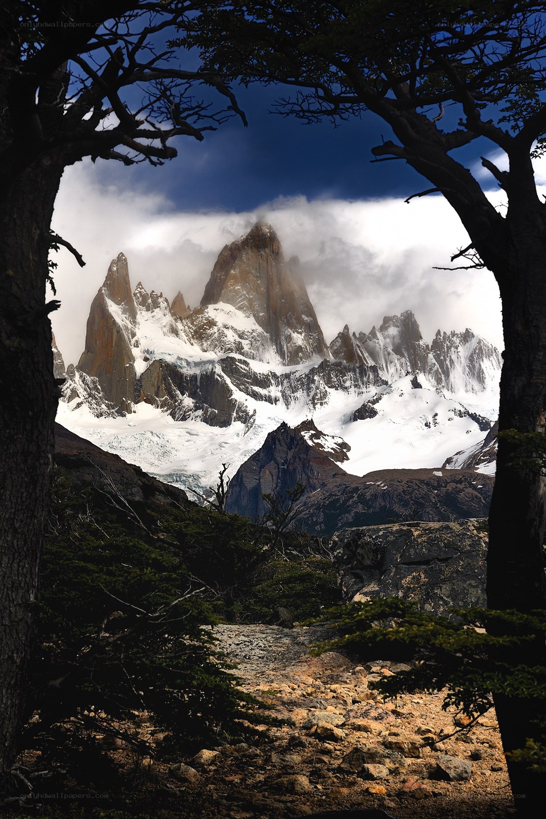 Mountain peak through trees
