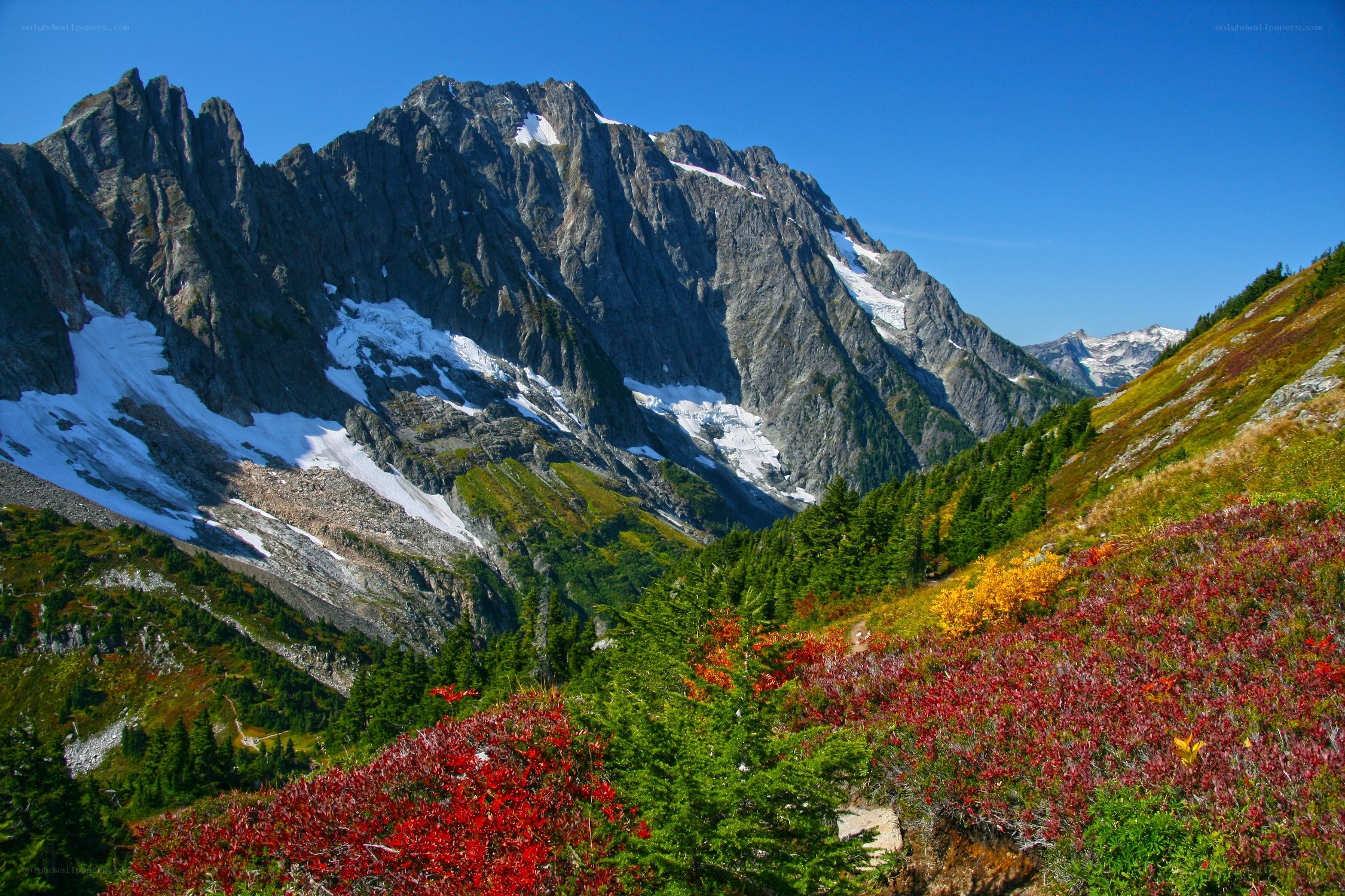Mountain peak with autumn foliage