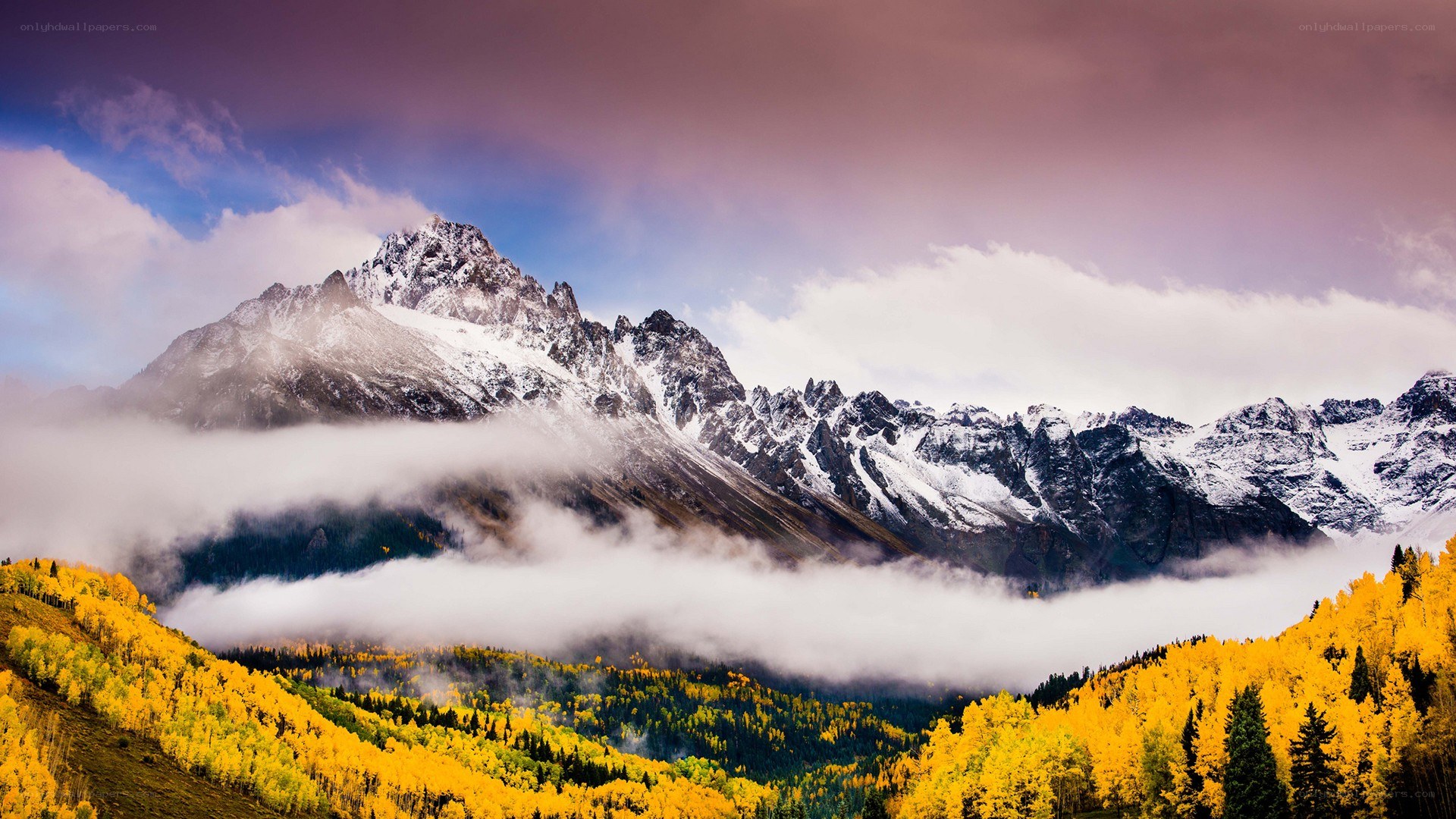 Mountain peak with autumn forest