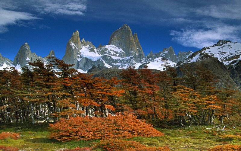 Mountain Peak with Autumn Trees — Blue, Dramatic, Photograph