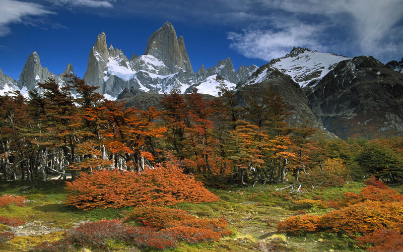 Mountain Peak with Autumn Trees — Blue, Dramatic