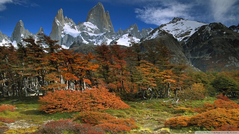 Mountain Peak with Autumn Trees — Blue, Serene
