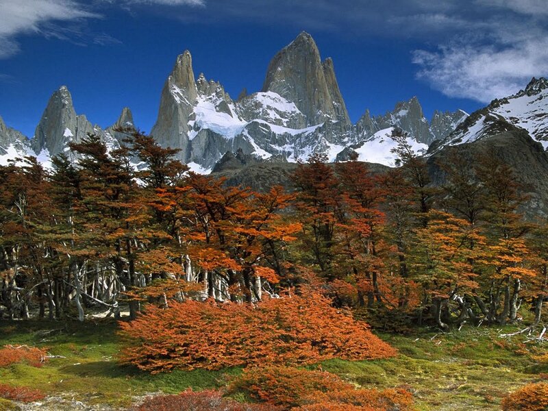 Mountain Peak with Autumn Trees — Orange