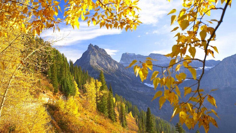 Mountain Peak with Autumn Trees — Yellow, Serene, Photograph