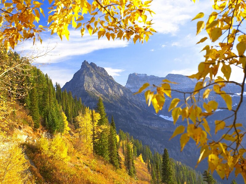 Mountain Peak with Autumn Trees — Yellow, Serene