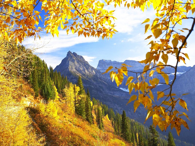 Mountain Peak with Autumn Trees — Yellow