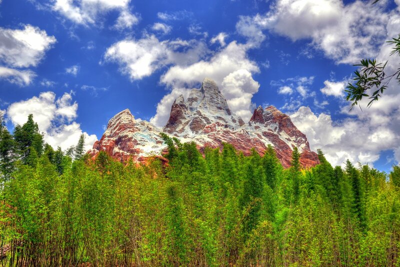 Mountain peak with bamboo forest