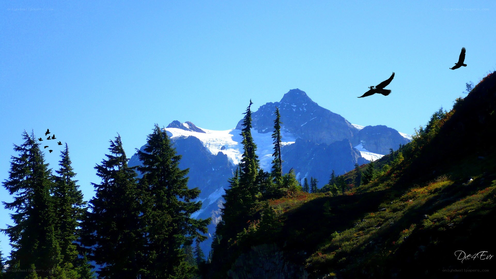 Mountain peak with birds flying